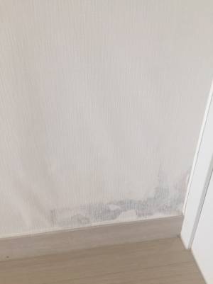 역세권청년주택 '센터스퀘어 등촌'에서 발견된 시공 하자. /사진제공=독자