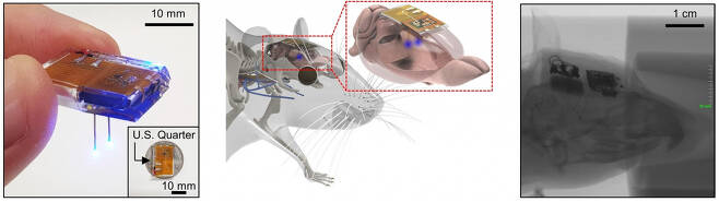 개발된 뇌 이식용 무선 디바이스. (좌) 무선 디바이스의 사진. LED 탐침이 쥐의 뇌에 삽입된 상태에서, 쥐의 두피 안에 완전히 이식된 디바이스의 개념도 (중) 및 X-ray 사진 (우).[KAIST 제공]
