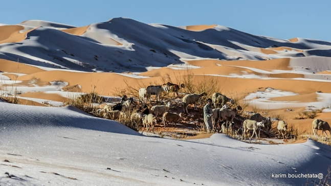 13일(현지시간) 북아프리카 알제리 아인 세프라 지역 사하라 사막에 눈이 쌓여있다. 카림 부셰타타 페이스북 캡처