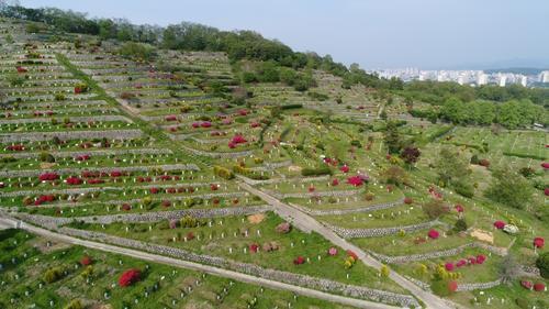 전주 공원묘지 [연합뉴스 자료사진]