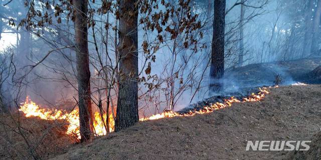 ⓒ강원도소방본부