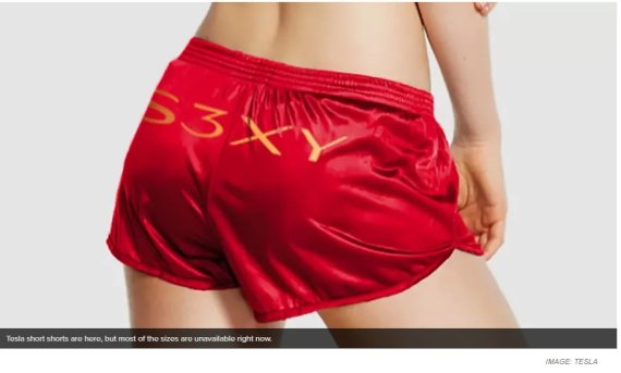 일론 머스크 테슬라 창업주가 공매도 세력을 조롱하기 위해 판매한 짧은 바지(Short Shorts). (사진=테슬라)