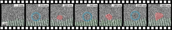 금 나노결정의 탄생 순간을 촬영한 고해상도 투과전자현미경 영상. 왼쪽 세 번째 이미지(320ms)의 빨간색 영역 안에 규칙적으로 배열된 작은 알갱이가 금 원자다. 금 원자의 규칙적인 배열이 보였다 사라졌다 하는 현상이 관찰됐다. 결정핵이 비결정상과 결정상의 상태를 가역적으로 반복하며 성장하기 때문이다.[IBS 제공]