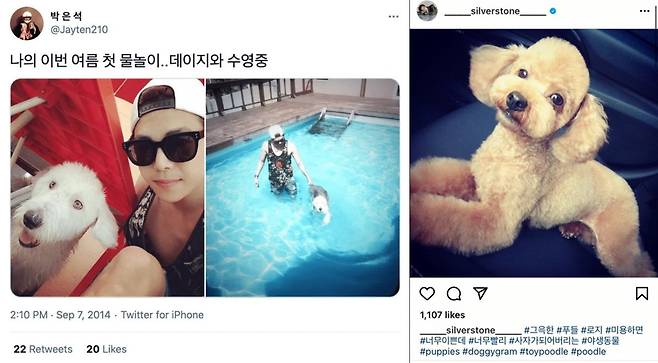 박은석이 현재는 키우지 않는 반려동물들.