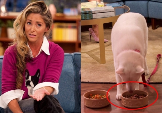 사진 왼쪽은 반려견 주인 루시, 오른쪽은 그녀의 반려견 스톰이 고기를 선택해 먹는 모습
