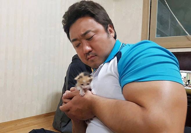 Actor Ma Dong-Seok sweats in baby CatOn the 6th, Ma Dong-Seok posted a chapter on his Instagram with an article entitled How should I hug a baby meow on the set?In the photo, Ma Dong-Seok is making a lot of impressions with a very small baby Cat, showing off his huge forearms shining at the top of the Arm wrestling competition.He is holding a Cat smaller than his hand, and he is anxious to get hurt.Recently, in the radio star, the fans of Ma Dong-Seok, the number one player in the entertainment industry fight, who was ranked by the Julien River, cheered with comments such as I have to hold carefully, I am small, I sent.Meanwhile, Ma Dong-Seok will appear in Lim Dae-hees film Inside (Gase), and also appeared in Crime City 2 and Apgujeong Report.
