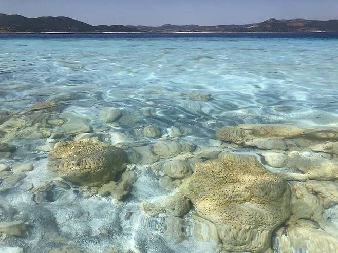 고대 미생물이 광물과 퇴적물에 갇혀 형성한 터키 살다 호수의 암석 퍼서비어런스호는 예제로 크레이터에서 이런 형태의 생명체 흔적을 찾게 된다. [NASA/JPL-Caltech 제공/ 재판매 및 DB 금지]