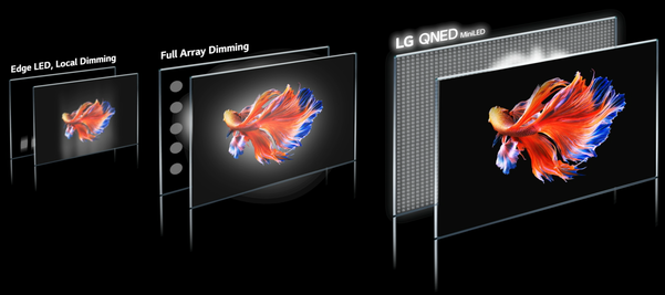 일반 LCD와 LG QNED의 로컬 디밍 블록의 차이를 나타낸 개념도. /LG전자 제공