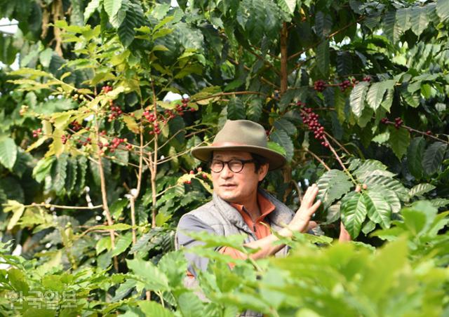 임영주 담양커피농장 대표가 농장 투어 프로그램을 진행하고 있다. 체험 프로그램으로 웬만한 커피 상식은 거의 익힐 수 있다.