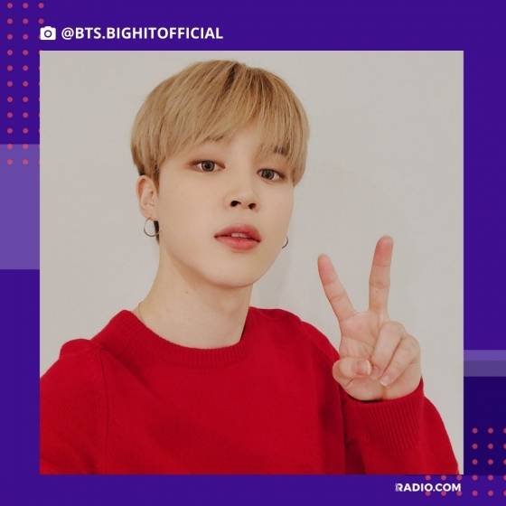 방탄소년단 지민(BTS JIMIN)