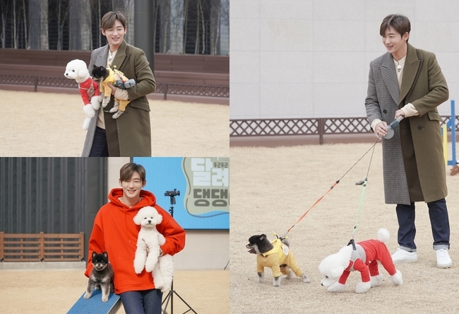 Lee Tae-sung said, I met Happiness with Run Dang stick appearance.On March 8, at 8:30 pm, MBC Everlons new Pet program Run a Running Race will be broadcast first through MBC Everlon and MBC Sports Plus.Unlike the existing solution-oriented Pet program, the first Korean entertainment, Run Dang Stuck, which combines traditional dog sports dog agility, is expected to show the joy of communicating, growing and happy with pets.Lee Tae-sung lives with two Pets, Mond and Kao.Mond and Kakao were surprised by the entertainment programs and dramas starring Lee Tae-sung, and stole their attention with their deadly cuteness.The passionate eldest brother Lee Tae-sung and the cute two Pets top model on dog ambiguity through Run Dang stickLee Tae-sung said, I thought that Silk stock and Pet were the top model who could communicate and have a deeper bond and be healthy together.I wanted to know what I did not know about Mond and Kao while training and shooting.In life and life with Pet, there are many things that the ilk stockers try, but in the case of agility, the ilk stock and Pet should try, so there seemed to be a big happiness while running together and breathing together. Lee Tae-sung, who decided to appear in Run the Dang Stuck and make a stupid Top Model for communion; however, Top Model was not as easy as he thought.Lee Tae-sung said, I was worried that Mond and Kao could follow new rules and education well, not just walking or playing.But while studying and training together, I seem to have learned the strengths and weaknesses of the hidden nature of Mond and Kakao. This Top Model gave a special happiness to Lee Tae-sung, a silk stock, as well as two Pets of Mond and Kao.Lee Tae-sung said, Sometimes I am tired of training every time I come and wash both of them and eat them.But when I think of the Mond and Kao that run through the wide lawn with a clear expression, I will meet the moment when I become happy together. (Photo Provision = MBC Everlon