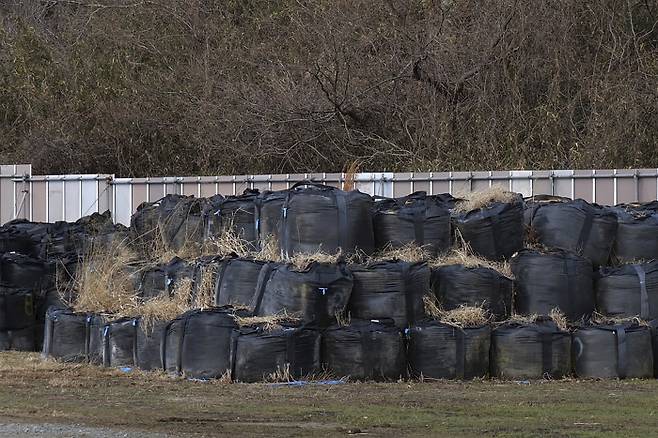 지난달 방사능으로 오염된 토양과 쓰레기가 가득 담긴 검은색 비닐 포대들이 후쿠시마의 한 지역에 쌓여 있다. 후쿠시마 | AP연합뉴스