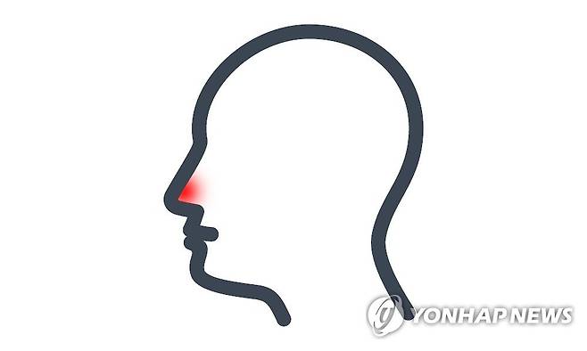 딸기코(일러스트) 제작 김민준 게티이미지뱅크 그래픽 사용