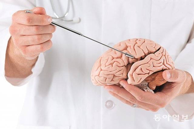 뇌 건강을 지키기 위해서는 다양한 뇌세포 손상물질로부터 뇌세포를 보호하고 기능을 활성화시켜야 한다. 신경세포와 정상적인 두뇌활동에 필요한 산소와 영양소를 원활하게 공급해 주고 신경세포의 손상을 일으키는 요인을 줄여야 한다. 동아일보DB
