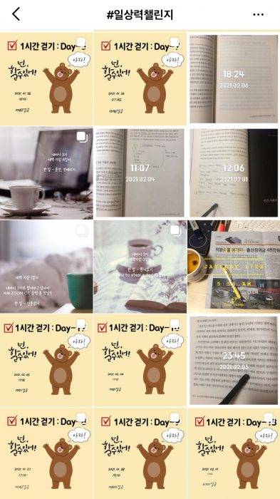 소셜미디어에 '일상력챌린지'를 검색한 화면.(사진=인스타그램 캡처)