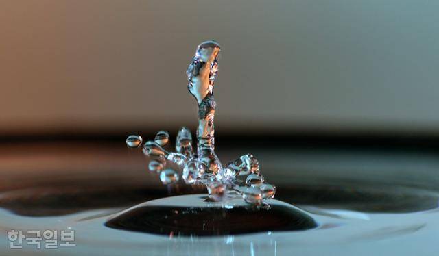 물 표면에 떨어진 직후 다시 튀어오른 물방울. 자세히 보면 '사람의 옆 얼굴'이 연상된다. 서재훈 기자