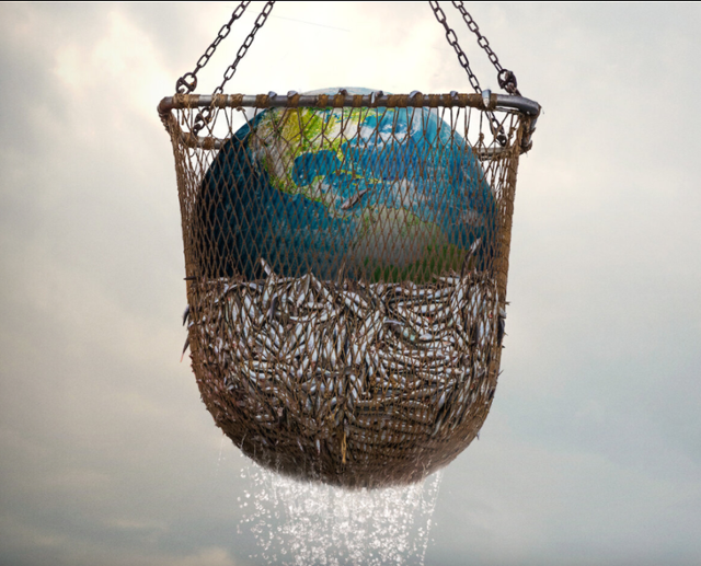 인터뷰 왜곡 편집으로 논란이 된 넷플릭스 다큐멘터리 '씨스피라시' 포스터. 넷플릭스 홈페이지