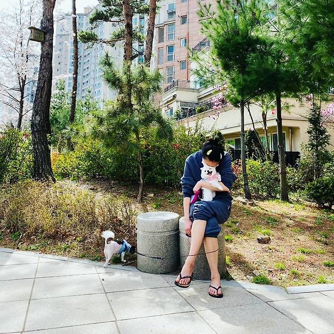 Go Eun-ah enjoyed a relaxing time with PetsGo Eun-ah posted an article on his Instagram on April 2, Mental Healing.Inside the picture is a Go Eun-ah walking near the house with two Pets.In particular, Go Eun-ah attracted attention because he put his short hair up and tied it up and put a big hairpin.The netizens who saw this commented, The sprouts grew in the head and Have a good day.Meanwhile, Go Eun-ah is running the YouTube channel Bangane with his brother Mir.Recently, Bangane was the first large-scale project in 2021, and it was Woong-jin with Go Eun-ah and non-entertainer Nam Sa-chin.However, in the situation where the second episode of the video was released, the other party was actually in love with the fact that Confessions.