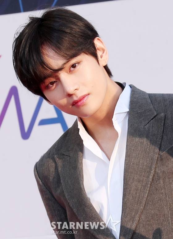 방탄소년단 뷔(BTS V) /사진=스타뉴스