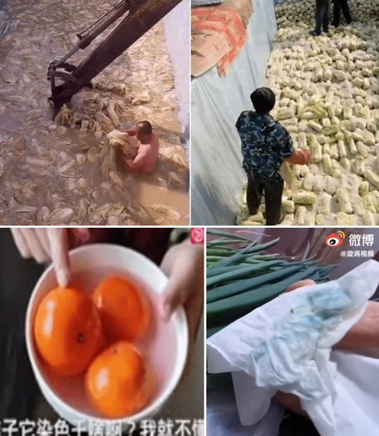 중국에서 발견된 염색 귤, 염색파(위). 중국에서 알몸으로 배추를 절이고 녹슨 굴삭기로 배추를 옮기는 모습./사진=유튜브, 웨이보. 바이두 캡처