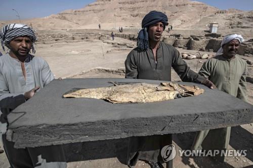 이집트 룩소르 고대 도시유적에서 나온 화석화한 물고기 [AFP=연합뉴스]