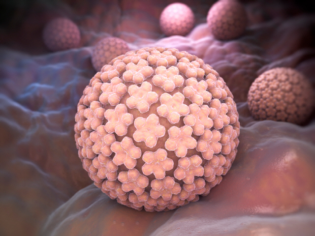 오럴 섹스를 통해 생식기와 입이 접촉하면 입 속 점막에 HPV 감염이 일어나면서 구강암 위험이 커진다. /클립아트코리아 제공