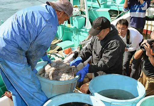 2013년 10월18일 일본 후쿠시마현 이와키 지구 조합 어민이 잡아올린 수산물. 이와키=교도연합