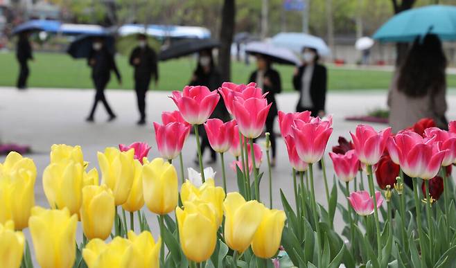 Pedestrians walk in front of a flower bed in downtown Seoul on Monday. (Yonhap News)