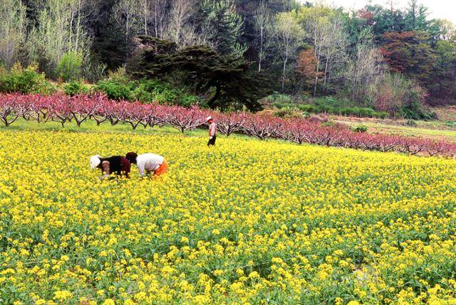 ©게티이미지뱅크