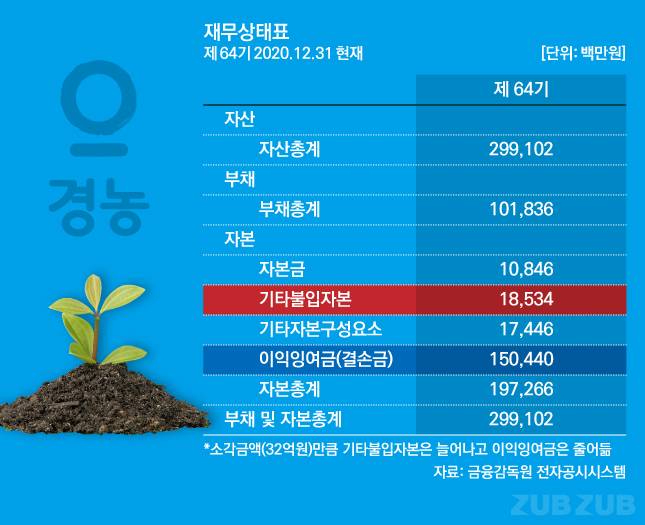 2020년 경농 사업보고서 재무상태표/그래픽=유상연 기자 prtsy201@