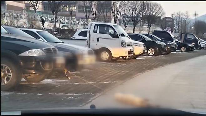 지난 1월, 충북 옥천군 옥천읍의 한 주차장에 개 한마리가 차에 매달린 채 쓰러져 있다[화면제공: 동물권단체 케어]