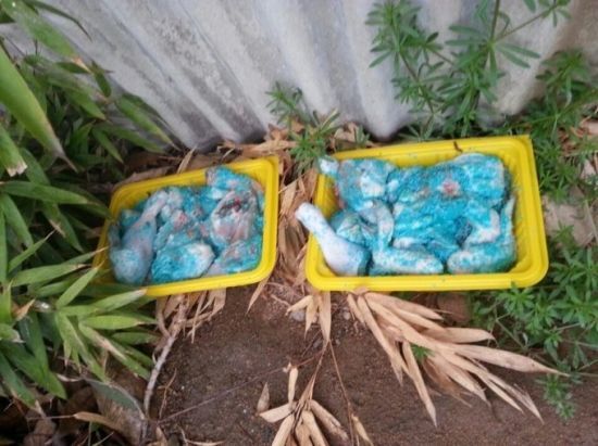 지난달 13일 대전 대덕구의 한 폐가 근처에서 발견된 쥐약이 묻은 닭고기. 사진=동물구조119 페이스북 캡처