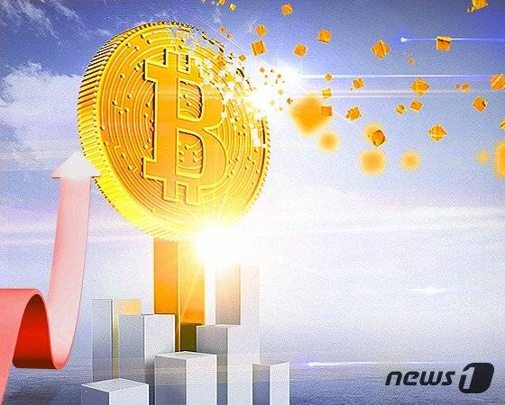 © News1 DB