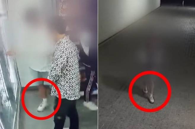 손정민 씨 친구 A씨가 흙이 묻어버렸다고 한 신발. [KBS 유튜브 캡처]