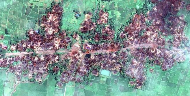 방글라데시 국경 근처 미얀마의 로힝야족 마을들이 얼마나 철저히 파괴됐는지 파악할 수 있다.디지털글로브 제공영국 BBC 홈페이지 캡처