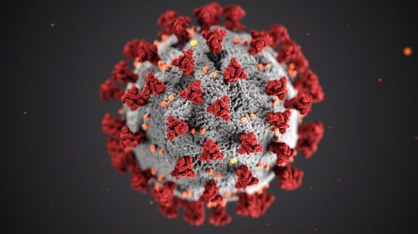 코로나 바이러스의 입체 모델. 표면의 스파이크(돌기, 붉은색) 단백질을 호흡기 세포에 결합시켜 침투한다. 인도발 변이 바이러스는 스파이크에 8가지 돌연변이가 발생해 전염력이 강해지고 중증도 더 많이 유발한다./CDC