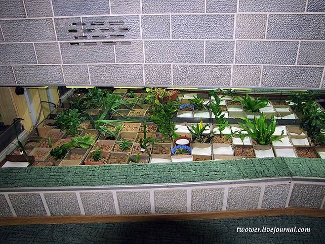 출처: twower.livejournal.com