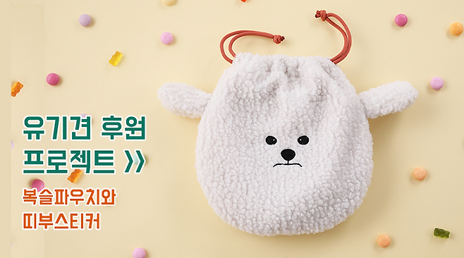출처: 유기견 후원 프로젝트