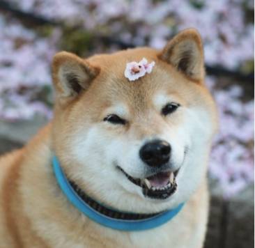 출처: marutaro instagram