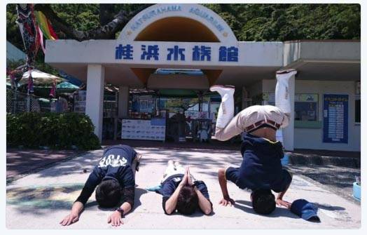 출처: 가쓰라하마 수족관 트위터/위드뉴스