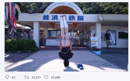 출처: 가쓰라하마 수족관 트위터