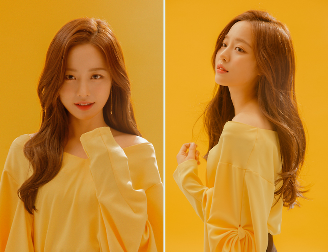 출처: 핑크에이지