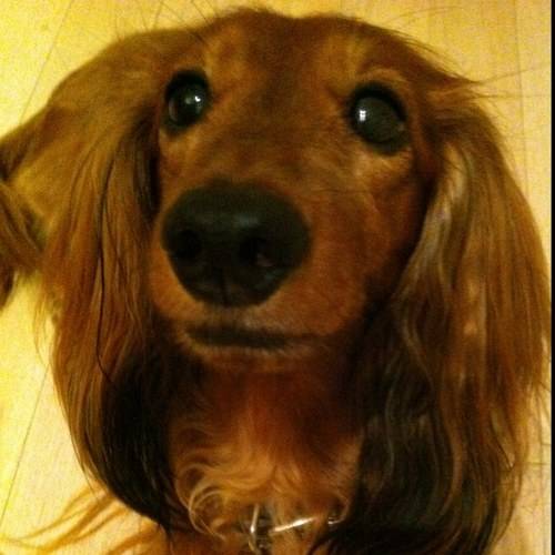 출처: 박정현 트위터