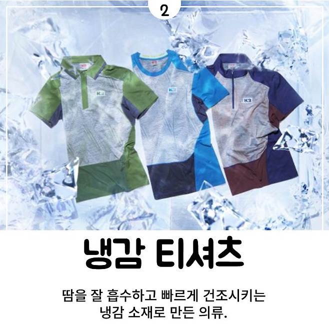 출처: 미디어다음