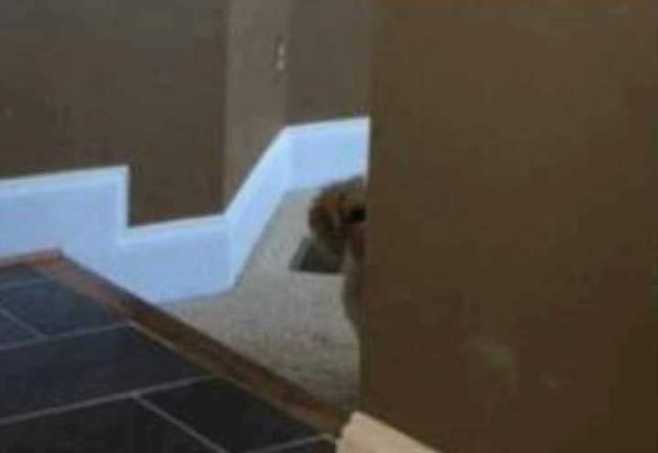 출처: 다음 카페 ∙ 도탁스