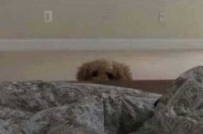 출처: 다음 카페 ∙ 도탁스