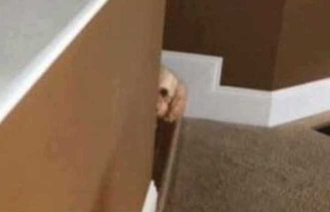 출처: 다음 카페 ∙ 도탁스