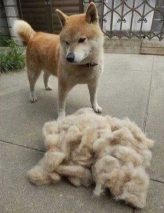 출처: 다음 카페 ∙ 왕비재테크