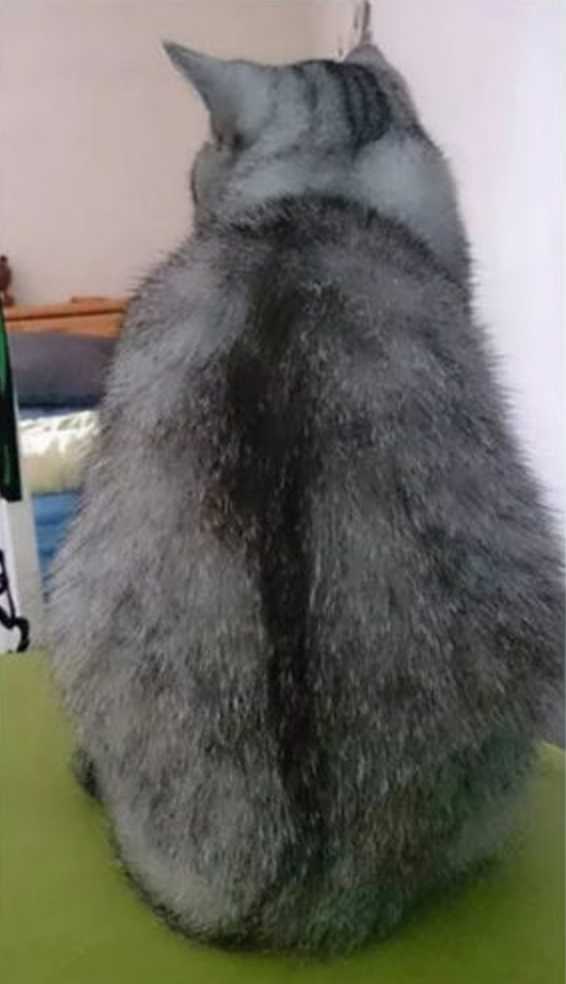 출처: 다음 카페 ∙ 내가 아는 카페