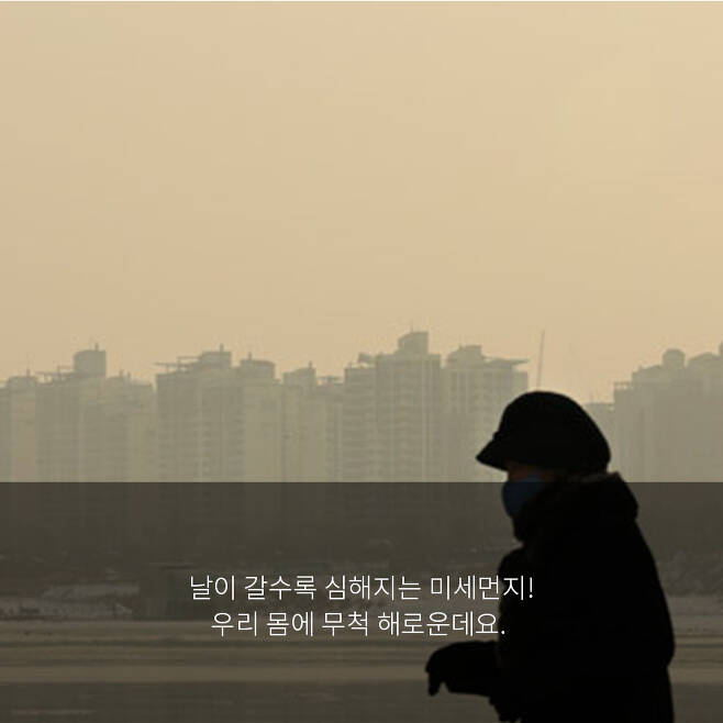 출처: Daum 뉴스 - 헤럴드경제